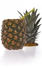 Abacaxi Ricaco - The Abacaxi Ricaco is made inside a whole pineapple with cachaca, pineapple, lime, bitters and nutmeg. Yes, it is served INSIDE a cored pineapple.