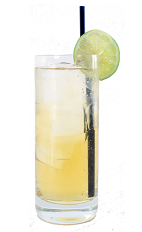 Apple Fizz - The Apple Fizz is made from Apple Brandy, apple juice, fresh lime juice and club soda, and served in a chilled highball glass.
