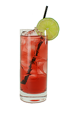 Cape Codder - The Cape Codder drink is made from vodka, cranberry juice and a lime slice, and served in a highball glass.