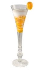 Citrus Celebration - The Citrus Celebration is an explosion of citrus flavor packed into a wonderful cocktail. Made from champagne and kumquat fruits, it is best served in a chilled champagne flute.