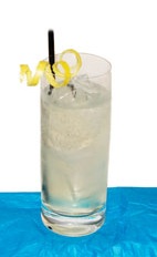 Diamond Fizz - The Diamond Fizz drink is made from Gin, Champagne, fresh lemon juice and bar sugar, and served in a chilled highball glass.