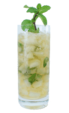 Mint Julep - The Mint Julep is made from Bourbon, sugar syrup and fresh mint leaves, and served in a chilled highball glass.