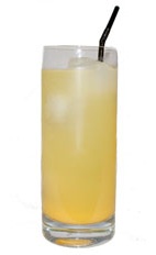 Poolside Pleasure - The Poolside Pleasure drink is made from gin, orange juice and club soda, and served in a highball glass.