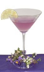 Purple Blossom - The Purple Blossom cocktail is made from Hpnotiq Harmonie, gin, club soda and lime juice, and served in a chilled cocktail glass.