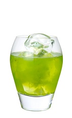 Randy Little Kiwi - The Randy Little Kiwi drink is made from Midori melon liqueur, vodka, kiwi and sugar, and served in an old-fashioned glass.