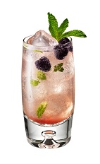 Riviera Mojito - The Riviera Mojito drink is made from Chambord flavored vodka, Limoncello, simple syrup, mint leaves, raspberries and club soda, and served in a highball glass.
