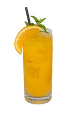 Rum Screwdriver - The Rum Screwdriver is made from rum and orange juice, and served in a highball glass. Garnish with an orange slice and fresh mint.