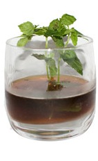 Ten-Gallon Cocktail - The Ten Gallon Cocktail is made from Gin, Coffee Liqueur and Sweet Vermouth, and served in a chilled old-fashioned glass.