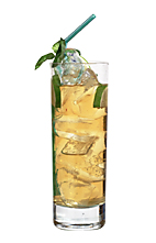 Bacardi Lime Red Bull - The Bacardi Lime Red Bull drink is made from Bacardi Limon and Red Bull, and served in a highball glass.