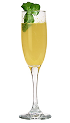 Bucks Fizz - The Bucks Fizz drink is made from champagne and fresh orange juice, and served in a champagne flute.
