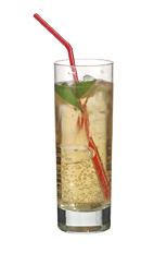 Diaz - The Diaz drink is made from vanilla vodka, apple juice, ginger ale and lime wedges, and served in a highball glass.