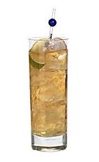 Galliano Bull - The Galliano Bull drink is made from Galliano and Red Bull, and served in a highball glass.