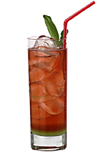 Lingonberry racer - The Lingonberry Racer is made from lingonberry vodka, ginger ale and lime juice, and served in a highball glass.