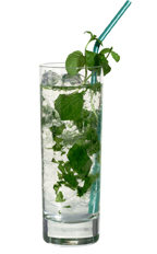 Mojito - The Mojito drink is made from white rum, club soda, mint, lime and sugar syrup, and served in a highball glass.