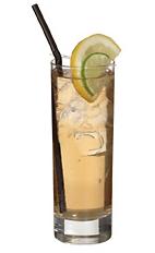 Moscow Mule - The Moscow Mule drink is made from vodka, ginger ale and lime juice, and served in a highball glass.
