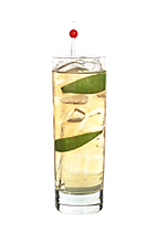 Nikki Sixx - The Nikki Sixx drink is made from whiskey (Jack Daniels), lemon-lime soda and lime wedges, and served in a highball glass.