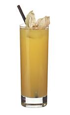 Troja - The Troja drink is made from whiskey, amaretto, Cointreau and orange juice, and served in a highball glass.
