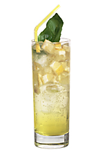 Vivo - The Vivo drink is made from Galliano, lemon rum (aka Bacardi Limon), lemon-lime soda, orange and lemon, and served in a highball glass.