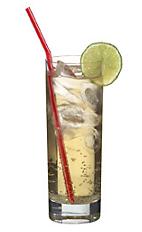Vodka Kick - The Vodka Kick drink is made from vodka, lime juice and ginger ale, and served in a highball glass.