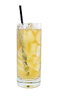 The Brandy Fizz drink is made from Brandy, sugar, fresh lemon juice and club soda, and served in a chilled highball glass.