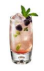The Riviera Mojito drink is made from Chambord flavored vodka, Limoncello, simple syrup, mint leaves, raspberries and club soda, and served in a highball glass.
