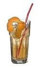 The American Horses Neck drink is made from bourbon, Angostura Bitters and ginger ale, and served in a highball glass.