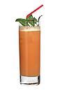 The Rum Punch drink is made from rum, sugar syrup, Angostura Bitters and lime juice, and served in a highball glass.